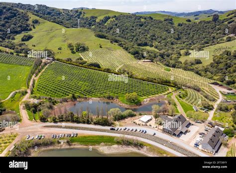 Mcevoy ranch - Today, McEvoy is planted with 8,000 trees and growing. On the free tour of the ranch, you'll stroll through olive groves, past the chicken coop and the sheep, alongside catchment ponds and ... 